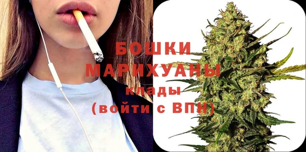 гидра Володарск