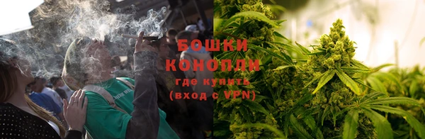 гидра Володарск