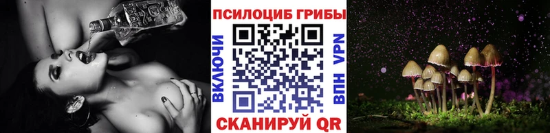 Галлюциногенные грибы мухоморы  Купить  Кимовск 